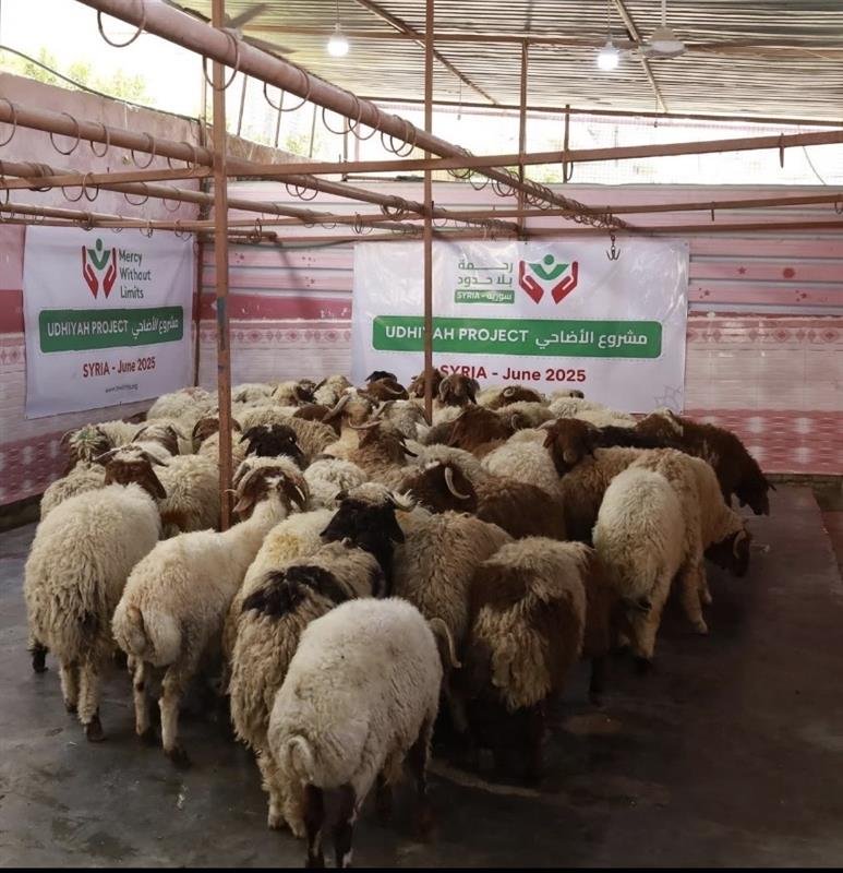 Qurbani Where Most Needed