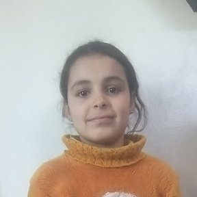 Futaim Alshaikh Awad