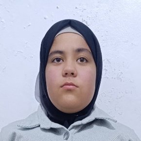 Noor Alsham Saleem