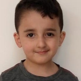 Karim Shahine