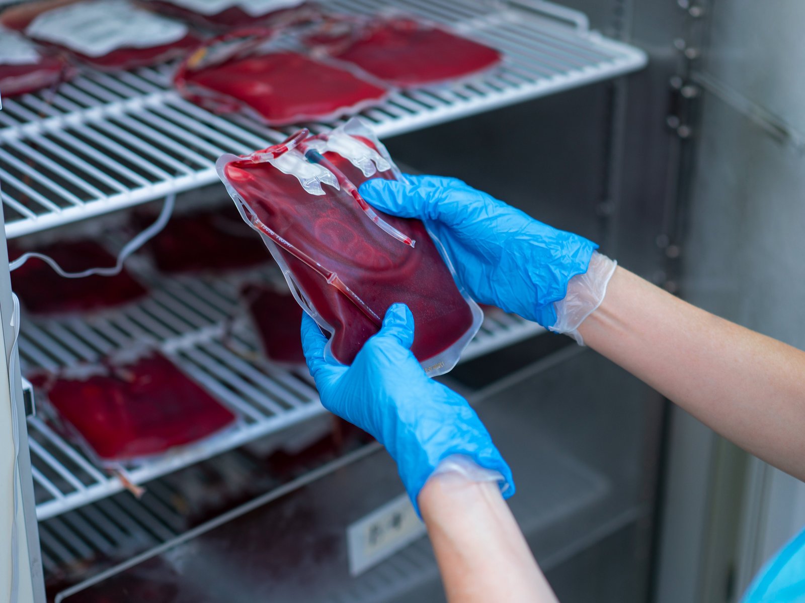Support Blood Bank – Damascus